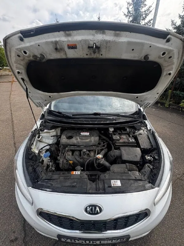 💵Цена 1 030 000₽

🚘Kia ceed 2016 рест 1.6 at универсал

✅Выехал с салона в 2017г
✅Мотор на отлично
✅Коробка на отлично
✅Подвеска без проблем
✅Мультируль, кондей, подогревы сидений и руля
✅Юр. Чистая, все номера читаются, 2 ключа

Офигенный вариант. Не такси, не каршеринг. Хозяйская тачка.
Kia ceed в рестайлинге и универсале. На бомбовой связке 1.6 бензин. Мотор работает прекрасно: не стучит, не дымит. Один из самых популярных и надежных двигателей kia. Полноценный автомат листает плавно, без пинков и рывков.
По подвеске все хорошо.
На жирных 18-х колесах с хорошей летней резиной. Отличная комплектация: мультируль, электростеклоподъемники, кондиционер, подогревы, громкая связь и так далее.
Лобовое без трещин. По низам не гнилой

Осмотр: г. Макеевка
Номер для связи +79494856494 - фотография - 5