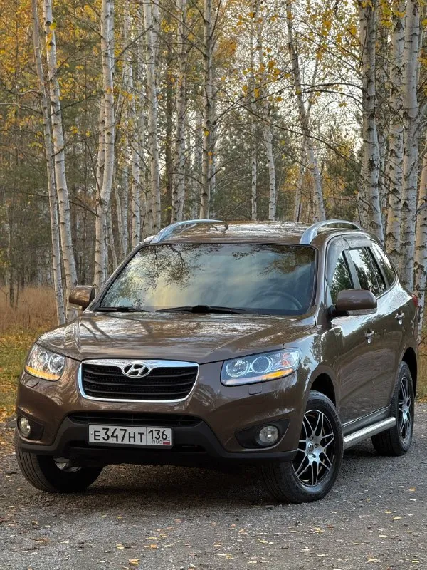 В продаже hyundai santa fe, 2.4 л, 174 л. С (4wd) кузов соответствует фото, ржавчина отсутствует. Приятный окрас, переливается в зависимости от погодных условий в более тёмный/ светлый цвет. Технически обслужен, масла с фильтрами новые. Двигатель работает отменно, сухой. Автомат без нареканий, переключается прекрасно при любой манере езды. Полный привод работает, вкл/выкл.
Максимальная комплектация : «elegance + navi» бесключевой доступ, start/stop, люк, двухзонный климат и круиз, мультируль, громкая связь с gps, датчик дождя и света, доводчики окон, подогрев зеркал, сидений и лобового, эл. Привод сидений, кожаный салон, два ключа, два брелка и т. Д и т. П. Комплект премиальной летней и зимней резины. (возможна продажа с новым гбо, баллон на 75 л)
Цена : 1 млн 250 тыс руб. Обмен не интересует. Территориально находится в г макеевка (центр) контакты : +7(949)003-33-27, +7(979)028-27-27 мессенджер telegram и max есть на первом тел.
📞 🇷🇺 Звоните: +79490033327 - фотография - 1