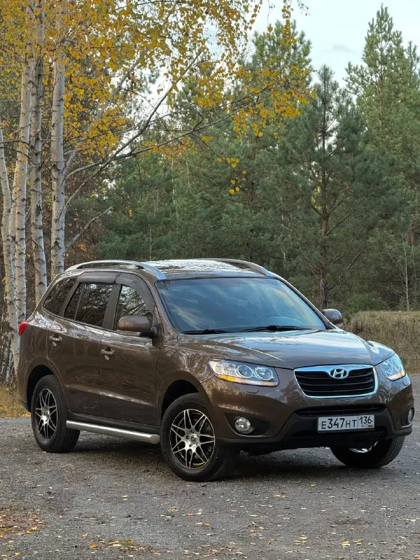 В продаже hyundai santa fe, 2.4 л, 174 л. С (4wd) кузов соответствует фото, ржавчина отсутствует. Приятный окрас, переливается в зависимости от погодных условий в более тёмный/ светлый цвет. Технически обслужен, масла с фильтрами новые. Двигатель работает отменно, сухой. Автомат без нареканий, переключается прекрасно при любой манере езды. Полный привод работает, вкл/выкл.
Максимальная комплектация : «elegance + navi» бесключевой доступ, start/stop, люк, двухзонный климат и круиз, мультируль, громкая связь с gps, датчик дождя и света, доводчики окон, подогрев зеркал, сидений и лобового, эл. Привод сидений, кожаный салон, два ключа, два брелка и т. Д и т. П. Комплект премиальной летней и зимней резины. (возможна продажа с новым гбо, баллон на 75 л)
Цена : 1 млн 250 тыс руб. Обмен не интересует. Территориально находится в г макеевка (центр) контакты : +7(949)003-33-27, +7(979)028-27-27 мессенджер telegram и max есть на первом тел.
📞 🇷🇺 Звоните: +79490033327 - фотография - 5