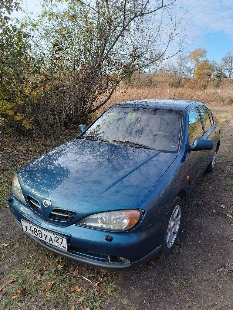 Ниссан примера рестайлинг 1999год, кузов р-11,коробка, подвеска, двигатель навесное, в очень хорошем состояние, по кузову есть косячки, мелкие царапины, вмятинки, и рыжики цена 220 торг у капота !
Контактный номер +79496435479 андрей - фотография - 12