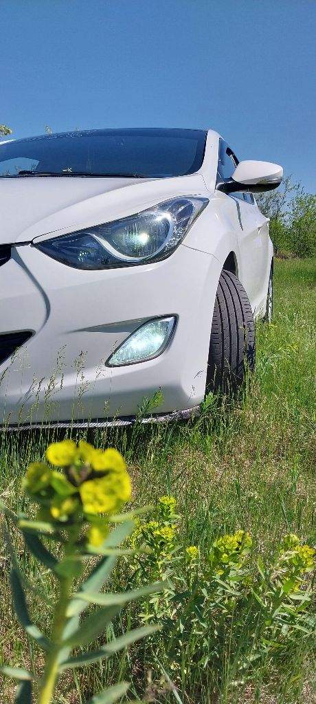 Продажа от собственника. Hyundai elantra 1,6 -2013г. Пробег 111 000 км. Чистая корея!
Трансмиссия-механика.
Зеленая автотека.
Установлено гбо евро -4 вписано в тех. Паспорт, оцинкована, обесшумлена, по тонирована (кроме передних боковых), сигнализация, камера заднего вида, броне пленка на порогах и дверных ручках, лампочки в фарах-линзованные диоды, магнитофон 2,1.
Abs, обогрев заднего стекла и зеркал, подогрев передних сидений, родные подушки безопасности, кондиционер.
Любые проверки на любом сто.
Не требует никаких вложений.
+7949-337-16-90 Владислав (днр, г. Донецк).
1 500 000 Р. - фотография - 1