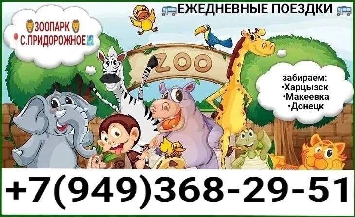 🚌Ежедневные поездки📆
🐒Зоопарк🦁
📍С. Придорожное

•Комфортабельный микроавтобус🚌
Все удобства для большой компании 🌟

• 🚘Легковой автомобиль для компании по меньше

⏰Ждем 3-4 часа 🤩

➡️ Отвезем в любой день и в любое удобное вами время 5️⃣

Запись по номеру телефона 📞
☎️ +7(949)368-29-51 - фотография - 1