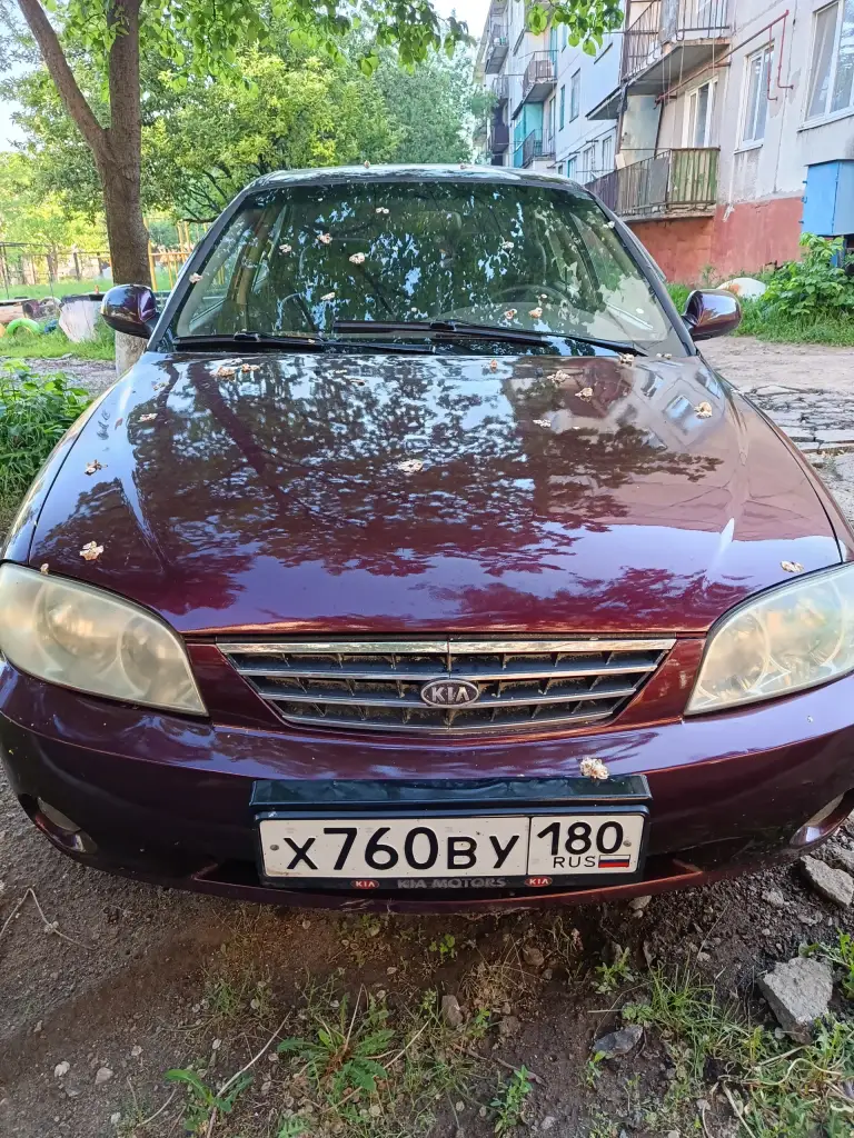 Продам киа спектра 2006г. , 1,6 мт. Коробка механика, без стука. Пробег 220 000 км. Заводское остекление. Ходовая обслужена, пороги переварены. Салон чистый и опрятный. Техосмотр пройден. Два ключа. Документы без запрета. - фотография - 11