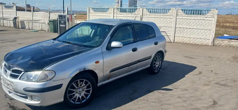Ниссан альмера н16 2000г. 1.5l 90л. С. Автомобиль технически в хорошем состоянии, двигатель работает хорошо, масло не кушает. Мкпп ремонтировалась около 8000км тому. Подвеска живая, недавно заменено масло, тормозная жидкость, задние колодки (суппорта обслужены). Пороги новые, дно на 3/4 поварено, кузовом нужно заниматься (на фото видно). На вопросы отвечу по телефону +79494500956 цена 170000₽. Торг есть! - фотография - 3