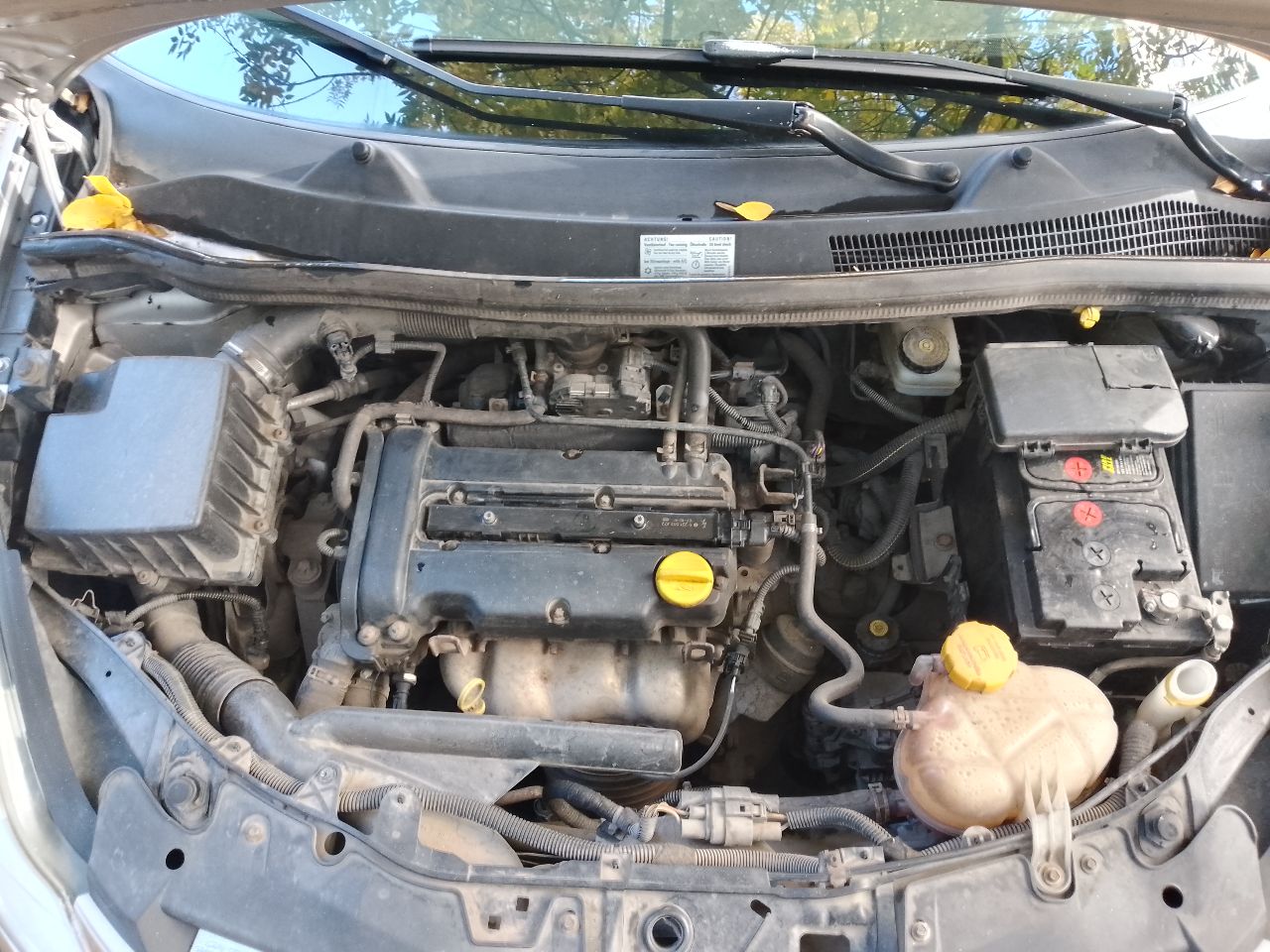 Продам опель корса 1,2. год выпуска 2007, коробка робот, пробег 123тыс. км. ( пробег родной, проверяйте любыми приборами). я хозяин, ездила жена. всего три владельца за все время эксплуатации, все девушки. на 118 тыс. км обслуживался блок управления коробкой ( менялись щетки, ломаться больше не чему). на 120 тыс. км. перебралась вся передняя ходовая часть. новые аммортизаторы, отбойники, пружины, стойки стабилизатора, втулки стабилизатора, чаши опорных подшипников, рулевые тяги. заменено масло в двигателе, два датчика кислорода, датчик давления масла. антифриз чистый как слеза. новый аккумулятор, на гарантии 10 месяцев. в техническом плане авто обслужено полностью. единственное не успел заменить масло в коробке. робот работает идеально. авто не новое поэтому по лак окраске есть потертости, сколы, царапины. не одна деталь не красилась, стекла все родные. цена 450000 руб. резина зима и лето проехала по одному сезону. две последние зимы авто не эксплуатировалось. +79493684849 - фотография - 5