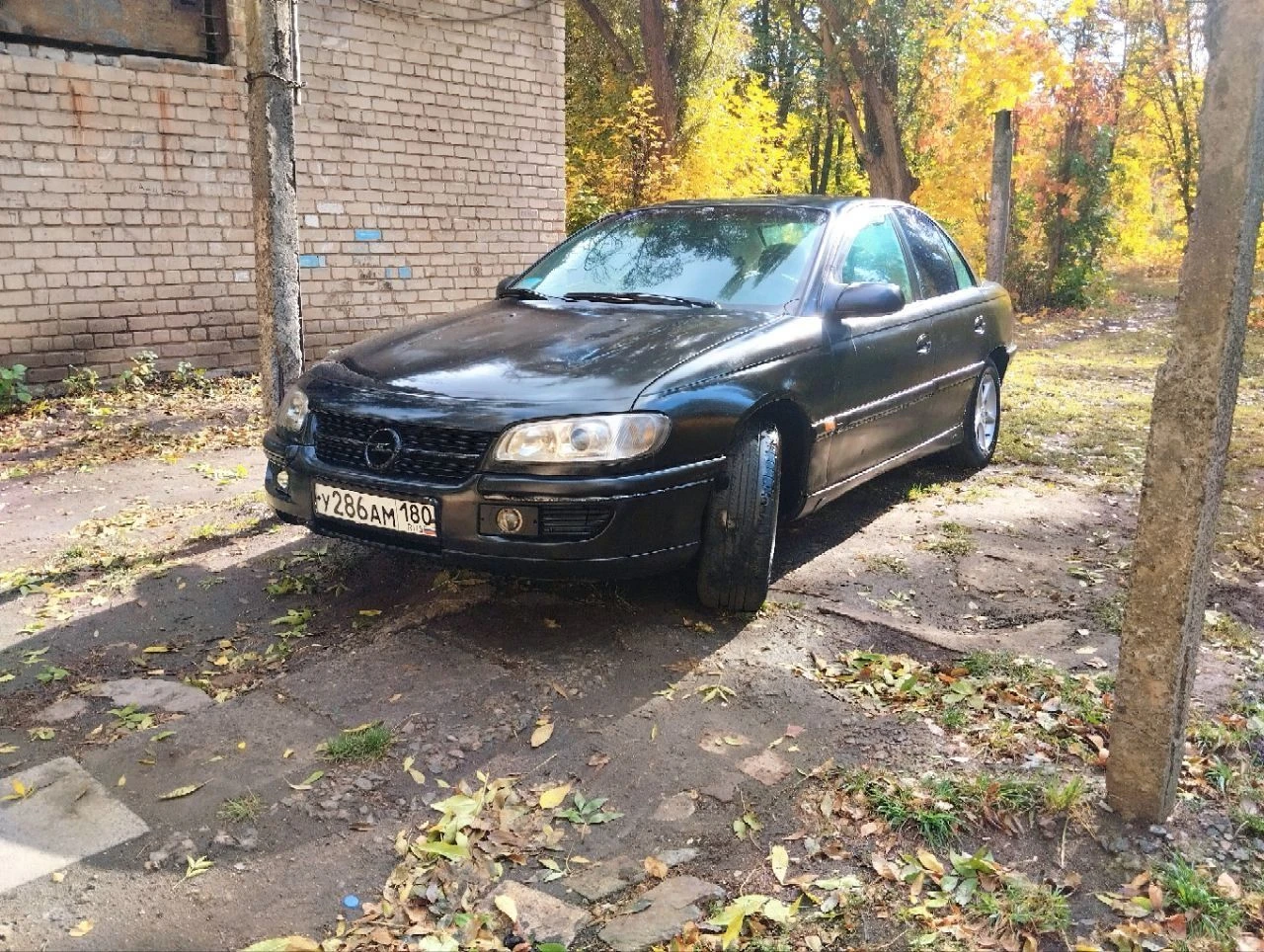 Продам опель омега б 1998г. 2.0л. цена: 240т. руб. торг. гбо евро 4, резина зима и лето на литых дисках r15 205/70 установлена хорошая музыка prology prm100, лазерные птф, все стёкла, фары, стопы родные, фары в броне пленке, на лобовом стекле есть трещинка (обзору не мешает), пробег 275т. я собственник, я 2й владелец, птс оригинал, требуется лакокрасочный ремонт, но можно ездить и так тел. +7 949 342 63 41 феникс (телеграмм, макс, ватцап) виталий тел. +7 949 032 96 79 миранда тел. +7 949 342 63 40 анна (телеграмм, макс) г. горловка_енакиево - фотография - 4