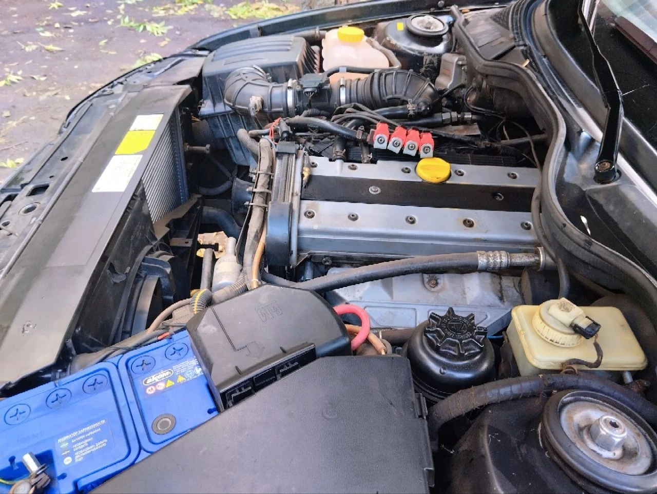 Продам опель омега б 1998г. 2.0л. цена: 240т. руб. торг. гбо евро 4, резина зима и лето на литых дисках r15 205/70 установлена хорошая музыка prology prm100, лазерные птф, все стёкла, фары, стопы родные, фары в броне пленке, на лобовом стекле есть трещинка (обзору не мешает), пробег 275т. я собственник, я 2й владелец, птс оригинал, требуется лакокрасочный ремонт, но можно ездить и так тел. +7 949 342 63 41 феникс (телеграмм, макс, ватцап) виталий тел. +7 949 032 96 79 миранда тел. +7 949 342 63 40 анна (телеграмм, макс) г. горловка_енакиево - фотография - 6