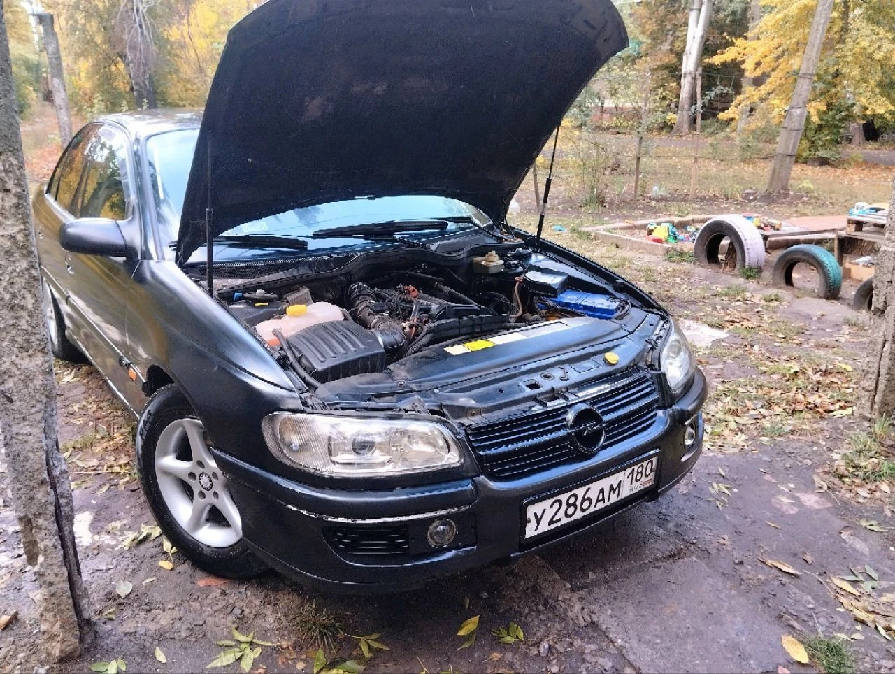 Продам опель омега б 1998г. 2.0л. цена: 240т. руб. торг. гбо евро 4, резина зима и лето на литых дисках r15 205/70 установлена хорошая музыка prology prm100, лазерные птф, все стёкла, фары, стопы родные, фары в броне пленке, на лобовом стекле есть трещинка (обзору не мешает), пробег 275т. я собственник, я 2й владелец, птс оригинал, требуется лакокрасочный ремонт, но можно ездить и так тел. +7 949 342 63 41 феникс (телеграмм, макс, ватцап) виталий тел. +7 949 032 96 79 миранда тел. +7 949 342 63 40 анна (телеграмм, макс) г. горловка_енакиево - фотография - 5