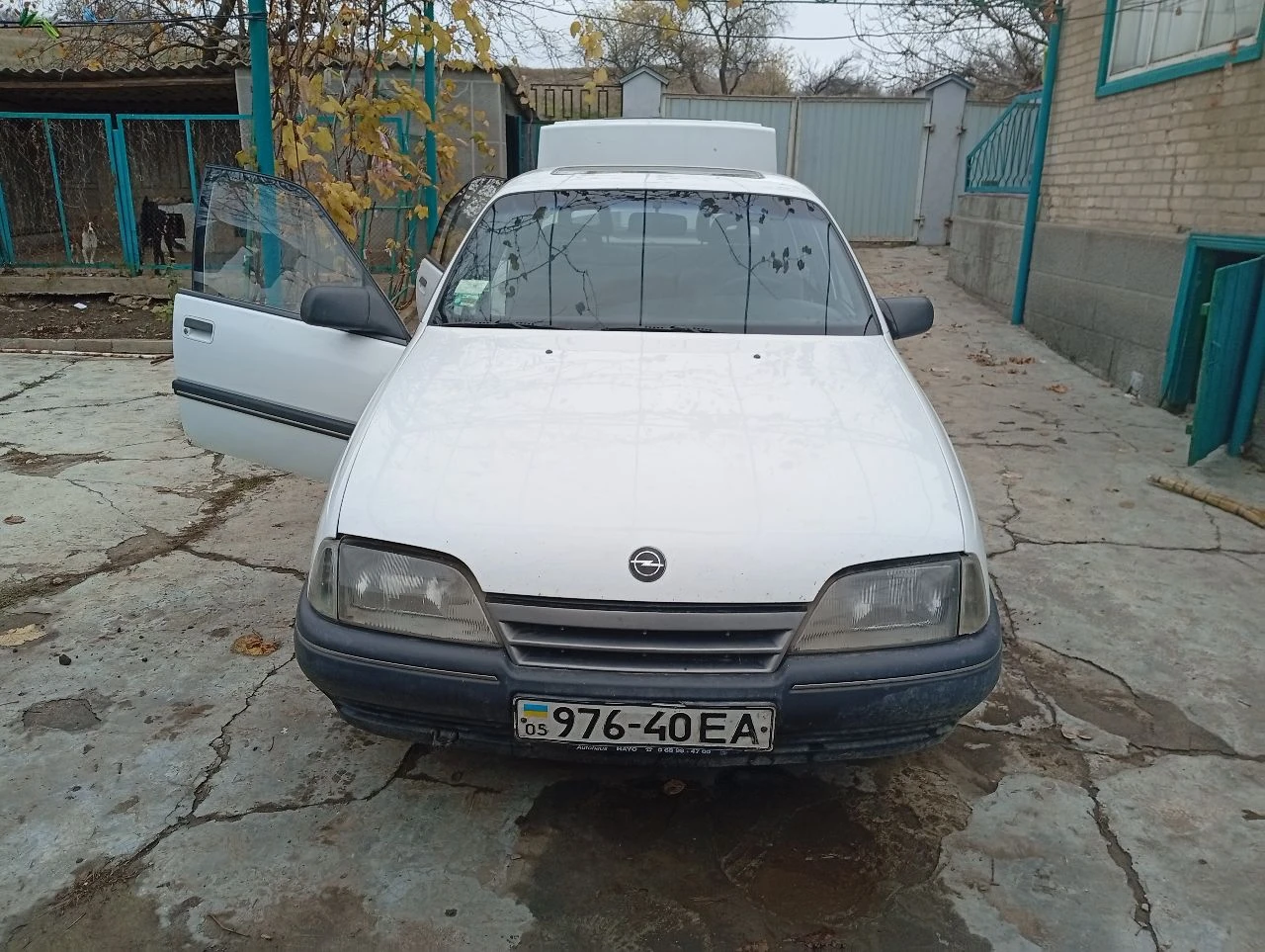 Опель омега 1990г на ходу. укр регистрация 10 лет простояла в гараже. заводится. есть к чему приложить руки. 65000 +79494678520 - фотография - 5