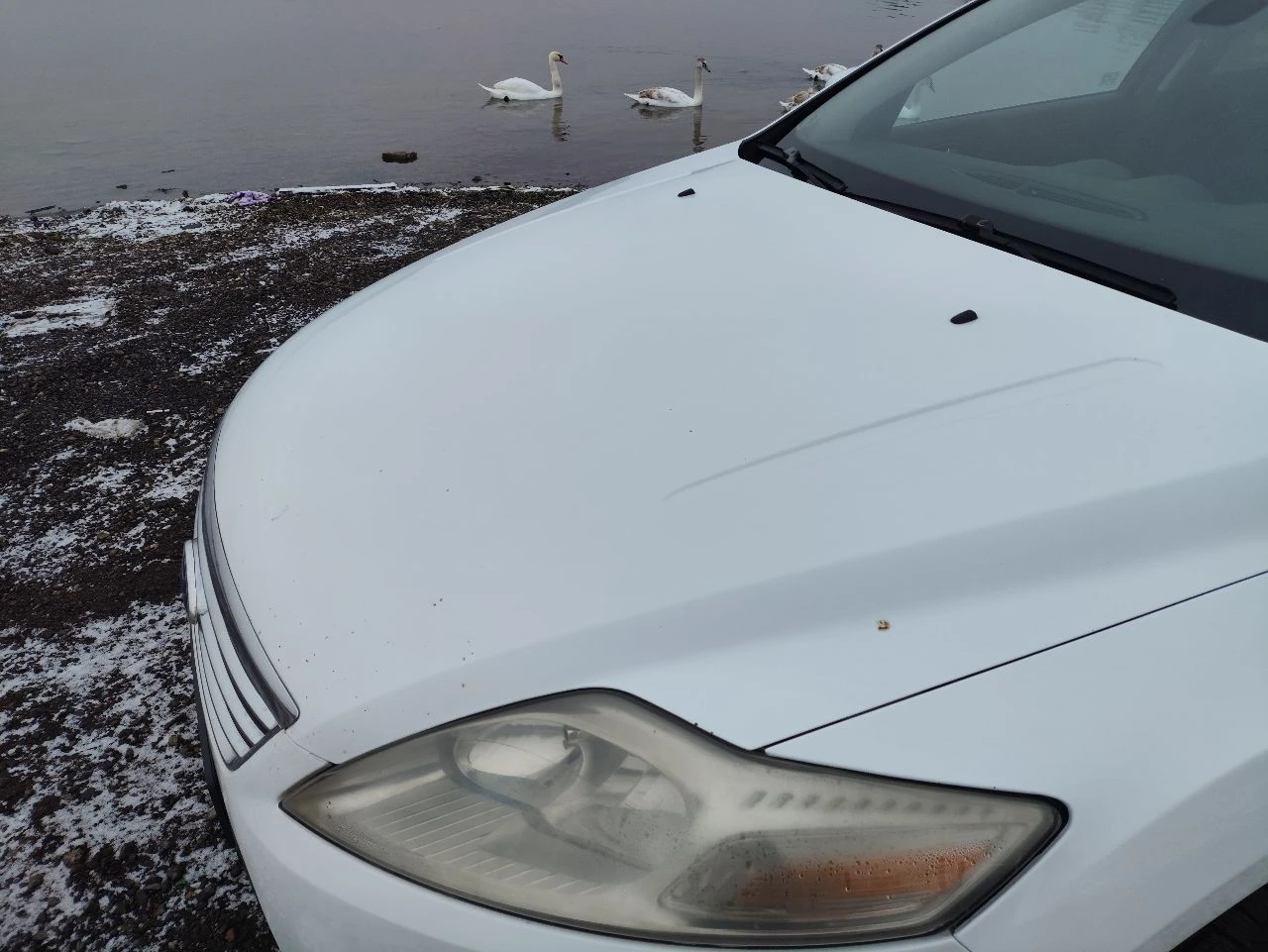 Продам или обмен ford mondeo 4, 2009 года выпуска, 2.3 двигатель duratec 161 л. с., акпп 6 ступенчатая aisin tf-81sc, бельгийская сборка. менее 1000 км назад менял акпп на контракт с пробегом 60к. также были заменены 2 передних рычага, рулевые тяги, задние стойки стабилизатора, заменены подушки двигателя и акпп. двигатель работает ровно, не троит, обороты не плавают, ошибок нет. двухзонный климат, подогрев сидений, подогрев лобового. по кузову есть сколы, авто не новое. кости целые, лкп в целом не плохо сохранилось. срочных вложений не требует. комплект лета в подарок, на сезон хватит. я хозяин, авто на мне, езжу каждый день. осмотр в макеевке, на гвардейка. любые проверки за ваш счёт. цена 790 000. на недостатки скину. +79494814840 телеграм @exymetric - фотография - 8