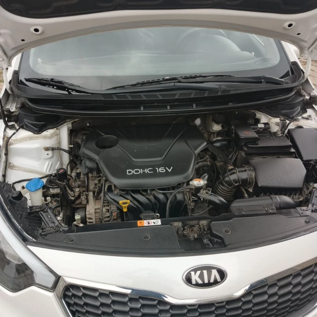 Kia creato, 2013 года. автомобиль с надежной механической кпп, кузов в отличном состоянии, без дтп, без ржавчин, ухоженный салон, в котором не курили, бережная эксплуатация, своевременная замена масла и фильтров, двигатель работает как часы, масло не ест. в автомобиле имеется 3-х уровневый обогрев передних сидений, заднего стекла и зеркал, электростеклоподъемники, штатная аудиосистема, кондиционер, авс, установлена сигнализация star line, имеется два ключа, комплект зимней резины на стальных дисках. автомобиль приобретался в автосалоне у официального дилера. я единственный собственник. стоимость: 1050000 руб. телефон: +79491741655 - фотография - 5